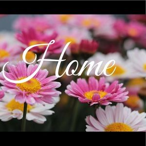 Section: Home